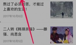 往期视频爆料怎么查看的,探索查看方法的独家攻略