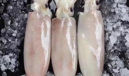 冰鲜大鱿鱼爆料视频,揭秘幕后加工全过程