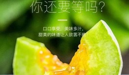 吃瓜网红图片大全集,带你领略网红风采
