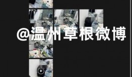 网友爆料女老板视频大全,揭秘职场潜规则与人性黑暗面