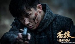 苍狼电影在线观看,热血激战，苍狼传奇再现荧幕