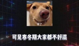 吃瓜 娱乐八卦图片大全,吃瓜群众必看娱乐八卦图片大全
