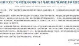 南京导游爆料新闻视频,揭秘古都背后的故事与真相