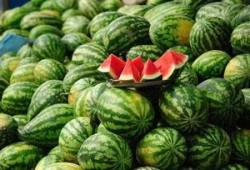 甘南网红吃瓜事件真相,揭秘背后真相与反思