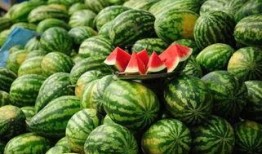 甘南网红吃瓜事件真相,揭秘背后真相与反思