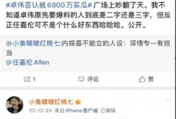 大瓜爆料视频博主,视频博主爆料背后的真相与内幕