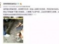 玉林微信爆料视频,惊现神秘事件，真相令人震惊！