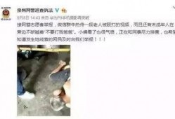 玉林微信爆料视频,惊现神秘事件，真相令人震惊！