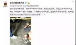 玉林微信爆料视频,惊现神秘事件，真相令人震惊！