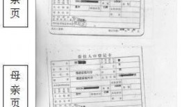 冲料爆料精选视频大全,揭秘热门视频背后的故事