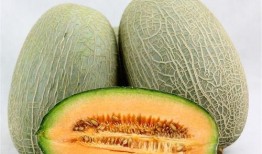 阿豪吃哈密瓜视频大全免费观看,免费观看视频大全，尽享甜蜜时光