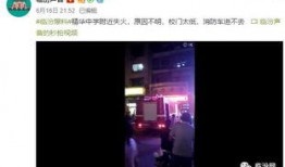 青岛小强视频爆料,揭秘背后惊人真相