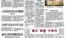 新闻线索爆料通报怎么写,深度解析事件背后真相