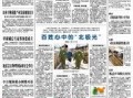 新闻线索爆料通报怎么写,深度解析事件背后真相