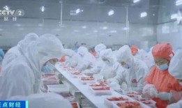 湖北一工厂爆料新闻,揭秘背后惊人真相！