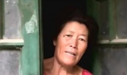 小鱼仙馆爆料视频,独家爆料视频深度解析