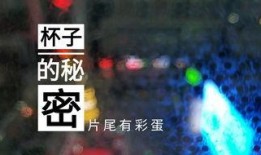 黑夜爆料 视频,揭秘视频背后的惊人真相
