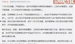 爆料网站强拆事件视频播放,网络曝光视频揭露惊人一幕
