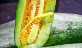 吃瓜网红图片大全集,带你领略网红风采