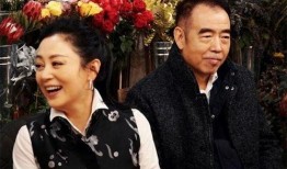 陈凯歌保姆爆料视频播放,揭秘明星家庭背后的真相