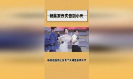 新版爆料大结局视频,揭秘剧情高潮与结局悬念