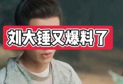 刘大锤爆料抽烟视频大全,揭秘娱乐圈烟民生活