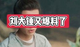 刘大锤爆料抽烟视频大全,揭秘娱乐圈烟民生活