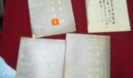 四体在线观看,揭秘人体奥秘的数字之旅
