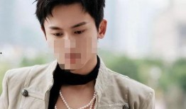 陈飞宇人品圈内爆料女主,揭秘娱乐圈背后的真相与争议