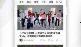 樱桃爆料视频大全集免费观看,独家揭秘，免费畅享精彩瞬间