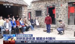 重庆农村老王爆料视频,揭秘乡村生活背后的真实故事