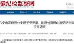 新闻报料爆料流程视频教程,视频教程全面解析