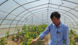 重庆农村老王爆料视频,揭秘乡村生活背后的真实故事