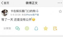 网爆吃瓜爆料视频下载,真相与谣言的交织