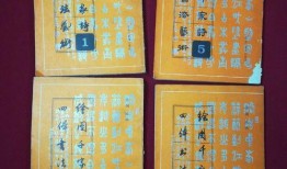 四体在线观看,揭秘人体奥秘的数字之旅