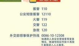 最新头条爆料电话号码,神秘电话号码引发热议，背后真相令人震惊！