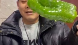 吃瓜网红赵梓婷,吃瓜网红的崛起与影响力