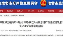 新闻报料爆料流程视频教程,视频教程全面解析