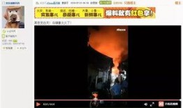 黑夜爆料 视频,揭秘视频背后的惊人真相